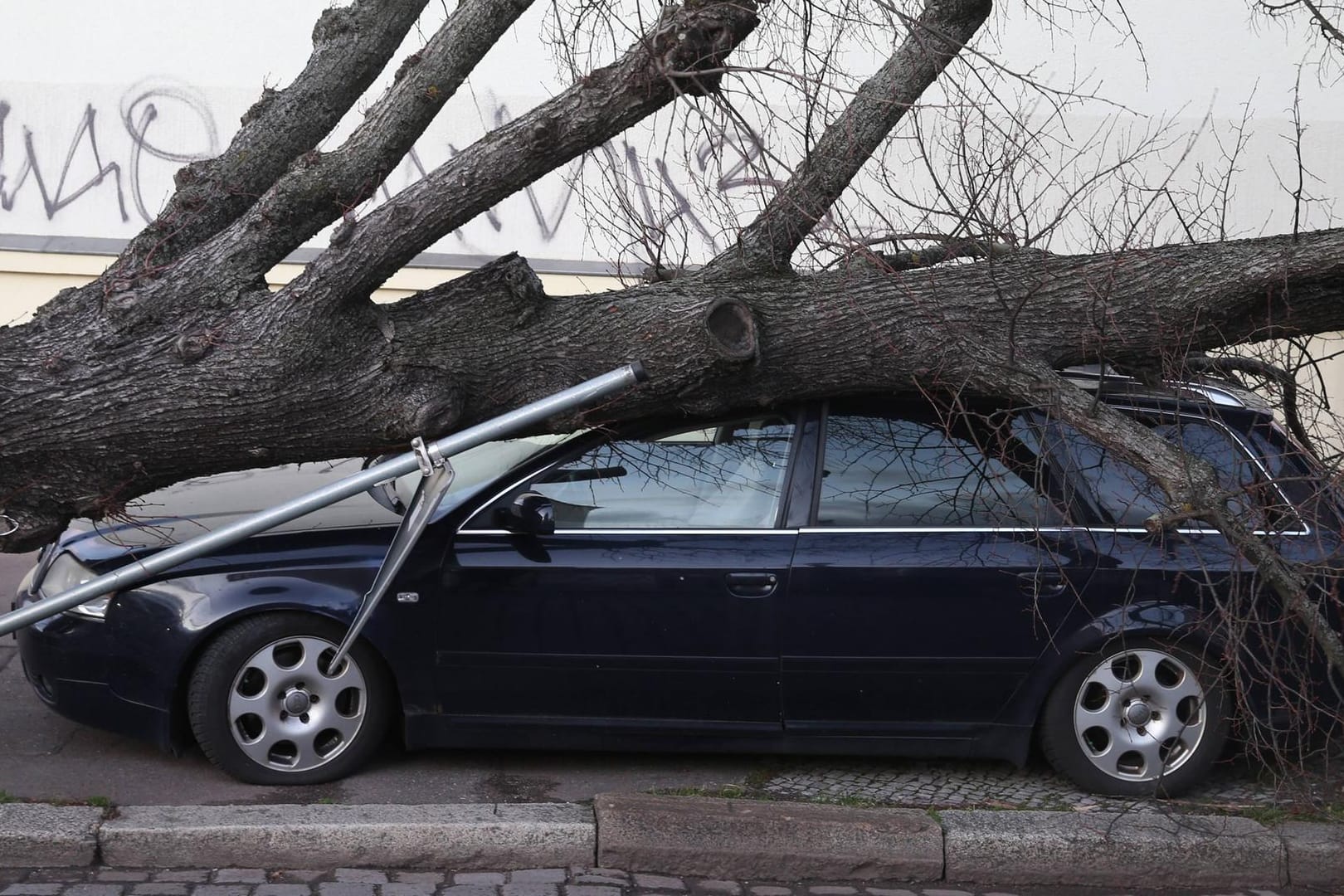 Umgekippter Baum: Ein Sturm kann schwere Schäden am Auto verursachen.