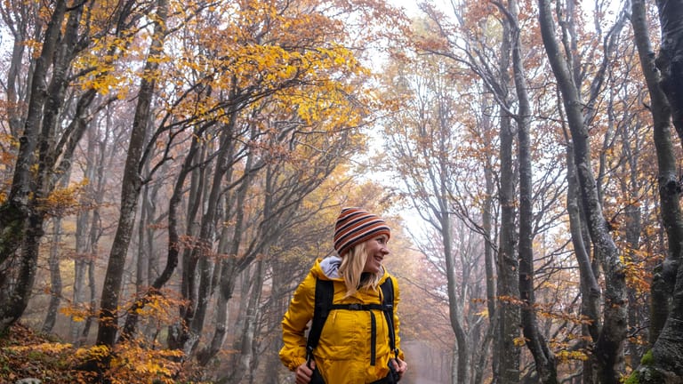 Täglich ausspannen: Ein Spaziergang im Wald oder einfach nur die Lieblingsmusik hören. Schon 20 Minuten gezielte Entspannung pro Tag können dem Burn-out-Syndrom vorbeugen. Gezielt heißt, dass Sie sich durch nichts anderes stören lassen. Also keine Arbeit nebenbei erledigen!