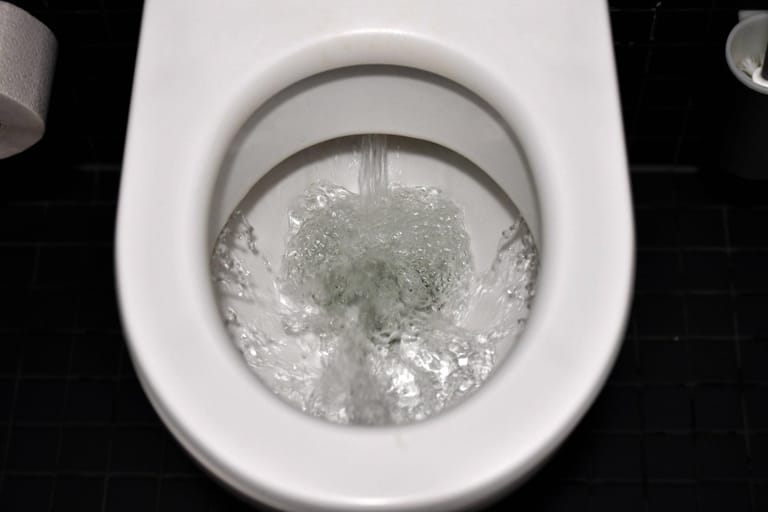 Toilette reinigen Fünf Tipps und Hausmittel, die helfen