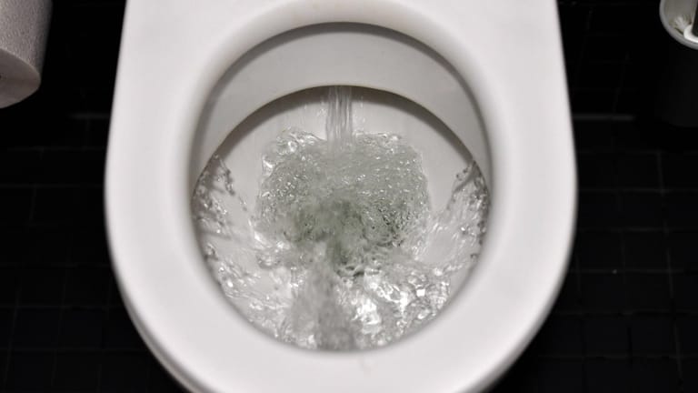 Stark verschmutzte toilette reinigen - Die qualitativsten Stark verschmutzte toilette reinigen ausführlich analysiert!