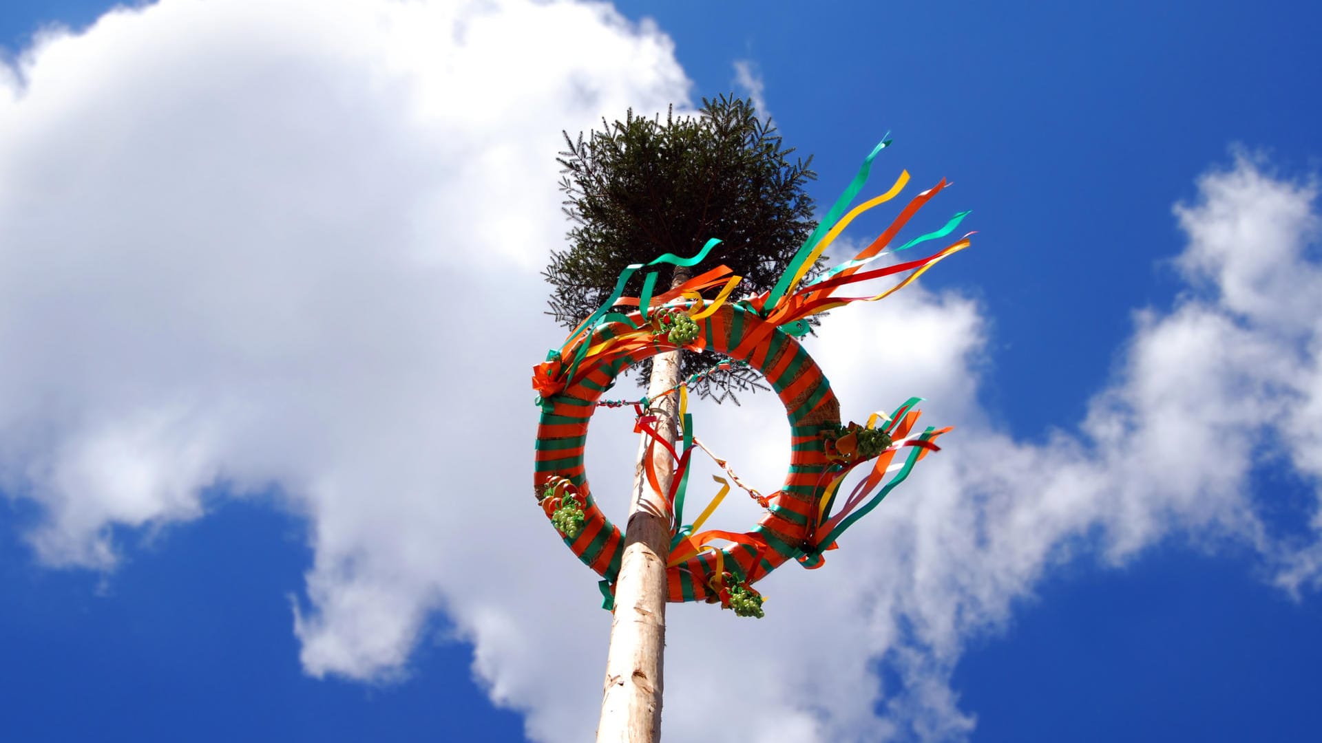 Maibaum: Bis heute wird der Baum vielerorts gemeinsam von der Dorfgemeinschaft aufgestellt und geschmückt.