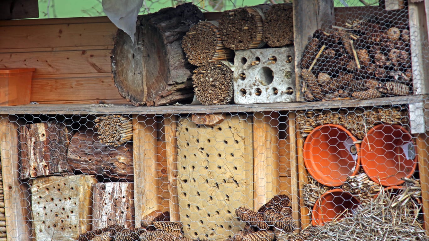 Insektenhotel: Zum Insektenschutz zählt auch ein Insektenhaus, auch Insektenhotel genannt, in einem Garten.