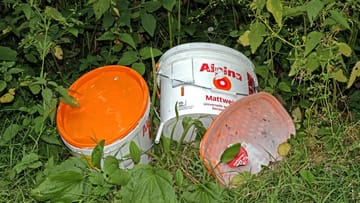 Alte Farbe und Lacke entsorgen: Wohin mit den Resten?