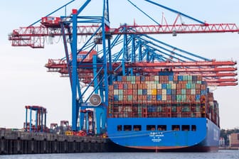 Containerschiff im Hamburger Hafen: Waren aus Nicht-EU-Ländern müssen verzollt werden.
