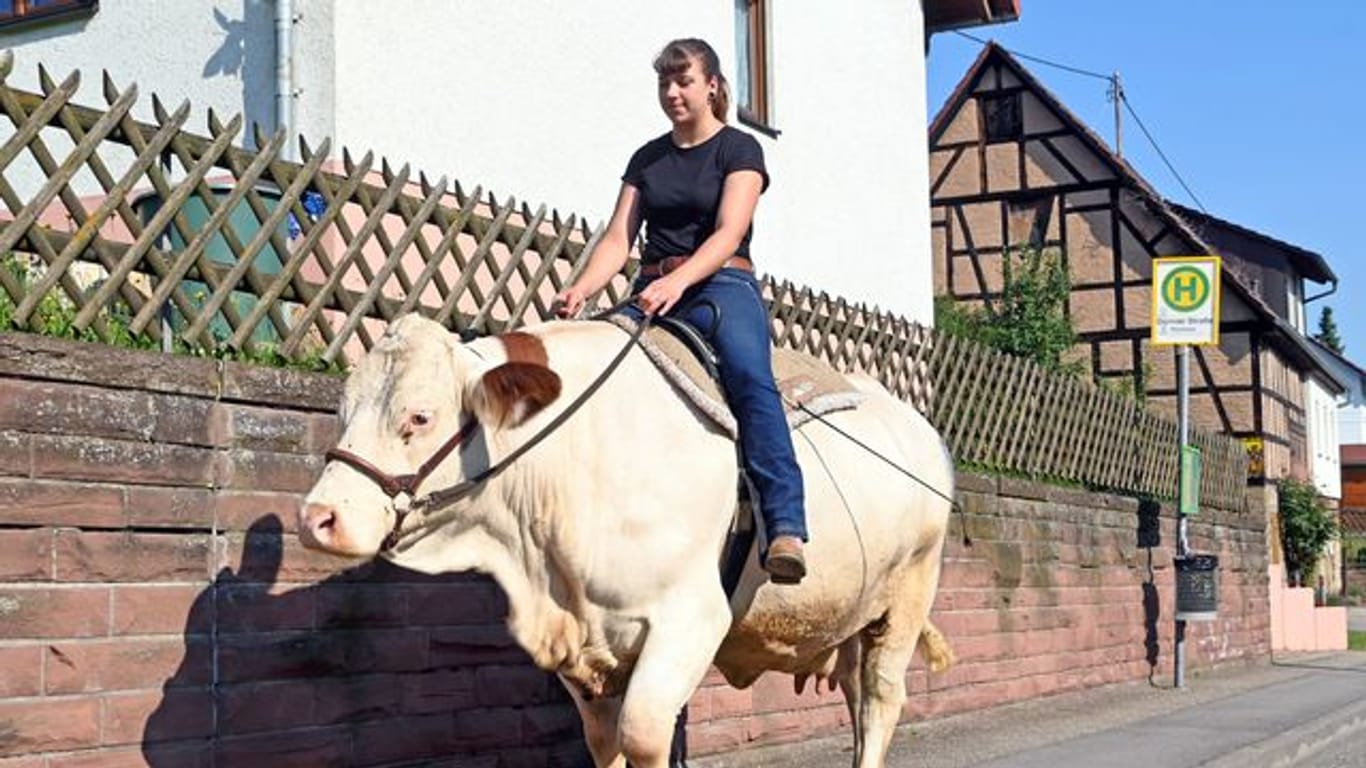 Sonja Keller reitet mit der Kuh Melina aus.