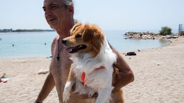 Am Strand in Athen: Menschen und Tiere leiden unter der Hitze:. Am Strand in Athen: Menschen und Tiere leiden unter der Hitze:.