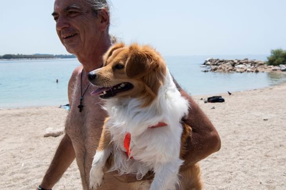 Am Strand in Athen: Menschen und Tiere leiden unter der Hitze:.