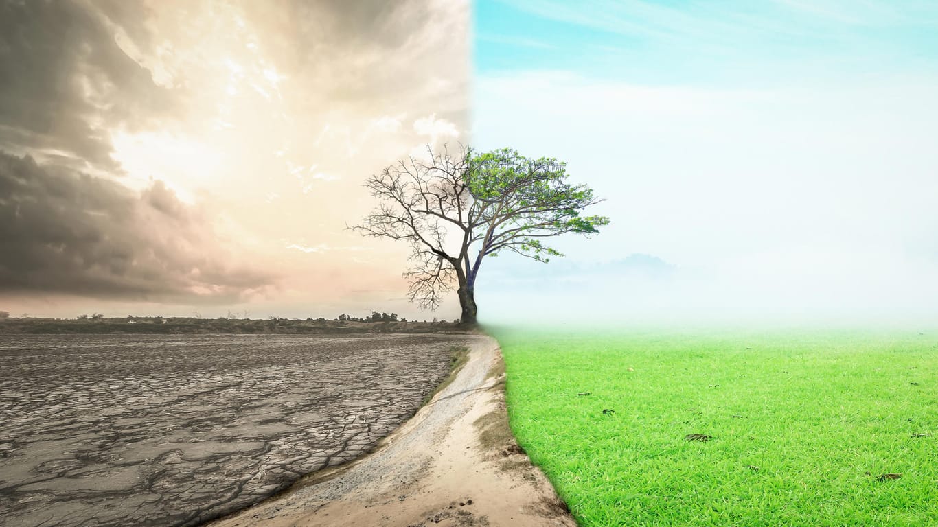 Dürre und gesunde Natur: t-online-Leser berichten, warum ihnen der Klimaschutz besonders am Herzen liegt.
