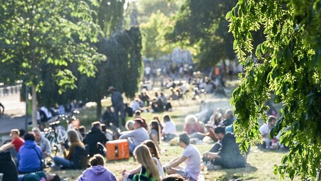 Zahlreiche Menschen sitzen im Licht der untergehenden Sonne auf einer Wiese im James-Simon-Park.