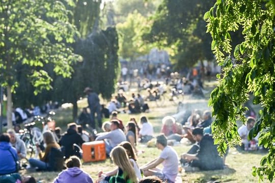 Zahlreiche Menschen sitzen im Licht der untergehenden Sonne auf einer Wiese im James-Simon-Park.