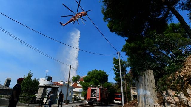 Verzweifelter Kampf gegen die Flammen: Mittlerweile bekommen die südeuropäischen Staaten Unterstützung aus dem Ausland - in Deutschland wird allerdings noch geprüft, wie man helfen kann. Verzweifelter Kampf gegen die Flammen: Mittlerweile bekommen die südeuropäischen Staaten Unterstützung aus dem Ausland - in Deutschland wird allerdings noch geprüft, wie man helfen kann.
