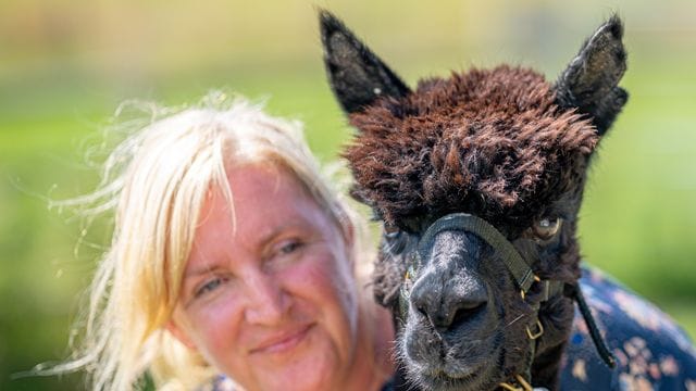 Besitzerin Helen Macdonald und Alpaka Geronimo auf der Shepherds Close Farm.