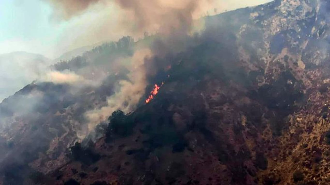 Feuer im Nationalpark Aspromonte in Kalabrien.