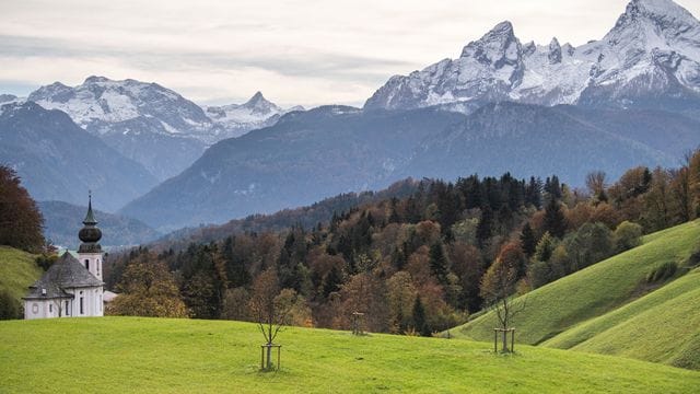 Ein Mitwanderer versuchte noch, dem abgestürzten 59-Jährigen zu Hilfe zu kommen - doch er starb an seinen schweren Kopfverletzungen. Ein Mitwanderer versuchte noch, dem abgestürzten 59-Jährigen zu Hilfe zu kommen - doch er starb an seinen schweren Kopfverletzungen.