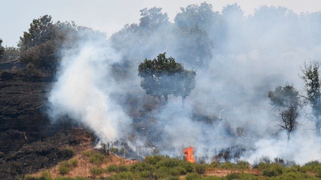 Lodernde Flammen in einem Pinienwald an den Hängen des Ätnas. Lodernde Flammen in einem Pinienwald an den Hängen des Ätnas.