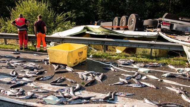 Die mit Fisch übersäte Unfallstelle an der Autobahn A24. Die mit Fisch übersäte Unfallstelle an der Autobahn A24.