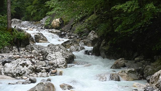 Der Hammersbach am Ausgang der Höllentalklamm.