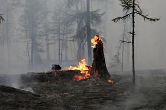 In der Region Jakutsk brennt der Wald an vielen Stellen.