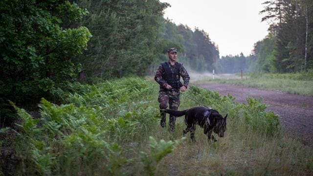 Ein Mitglied des litauischen Grenzschutzes patrouilliert im Juni mit einem Hund an der Grenze zu Belarus.