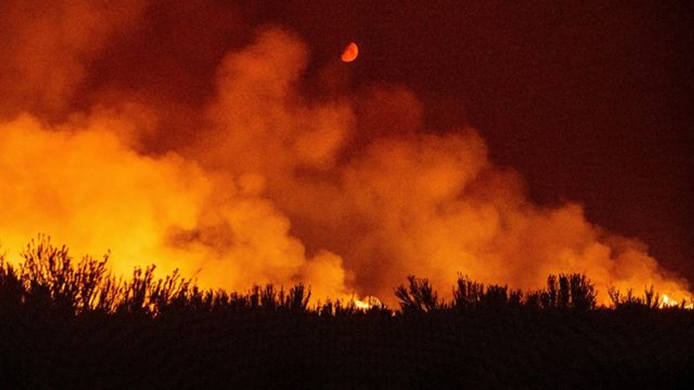 Durch die kritische Wetterlage in der Region haben sich mehrere Waldbrände in Nordkalifornien ausgebreitet.