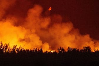 Durch die kritische Wetterlage in der Region haben sich mehrere Waldbrände in Nordkalifornien ausgebreitet.