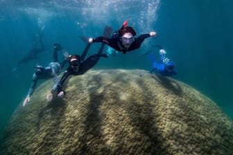 Wissenschaftler schwimmen über die Koralle bei Goolboodi.