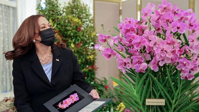 US-Vizepräsidentin Kamala Harris posiert neben Papilionanda Kamala Harris während einer Orchideentaufe.