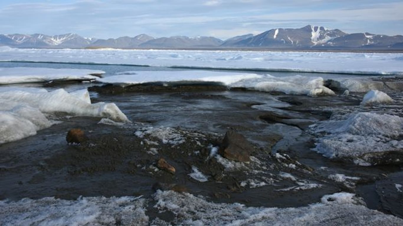 Das kleine noch unbenannte Eiland am nördlichsten Zipfel Grönlands ist möglicherweise die wohl nördlichste Insel der Welt - entdeckt wurde sie von Forschern der Universität Kopenhagen.