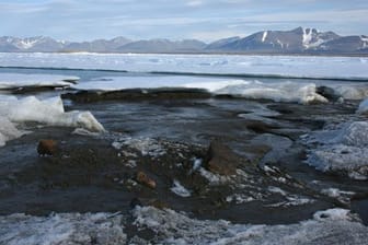 Das kleine noch unbenannte Eiland am nördlichsten Zipfel Grönlands ist möglicherweise die wohl nördlichste Insel der Welt - entdeckt wurde sie von Forschern der Universität Kopenhagen.