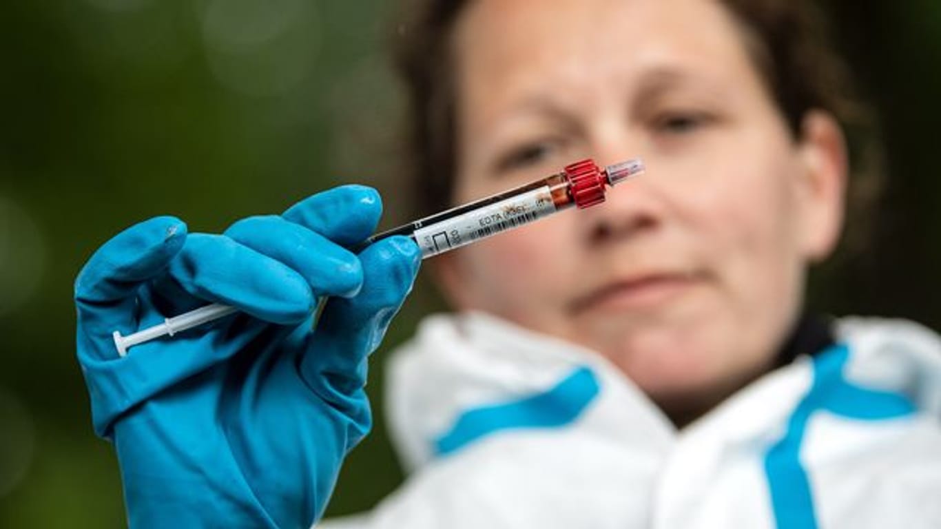 Eine Mitarbeiterin vom Veterinäramt hält eine Blutprobe