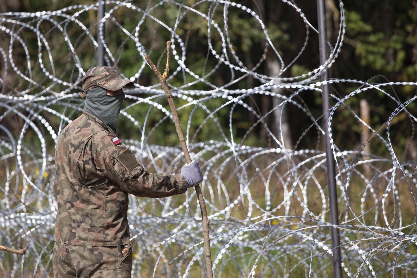 Polnische Soldaten errichten einen Zaun an der Grenze zu Belarus: Auf diese Weise soll der Flüchtlingsstrom in die Europäische Union gestoppt werden.