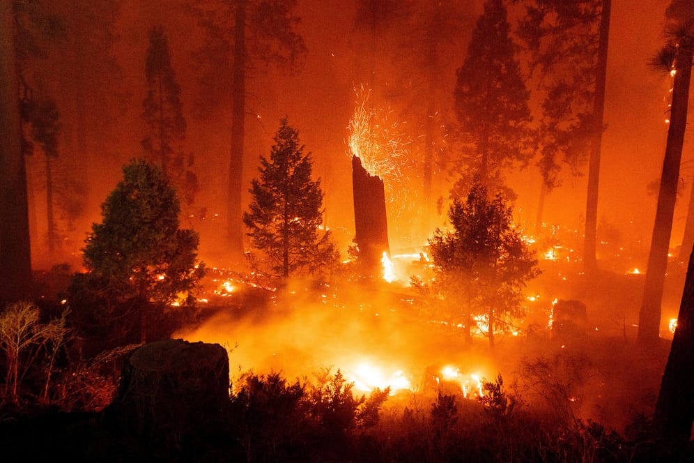 Waldbrand in Kalifornien: Die Gefahr von Extremwetterereignissen steigt durch die Klimakrise.