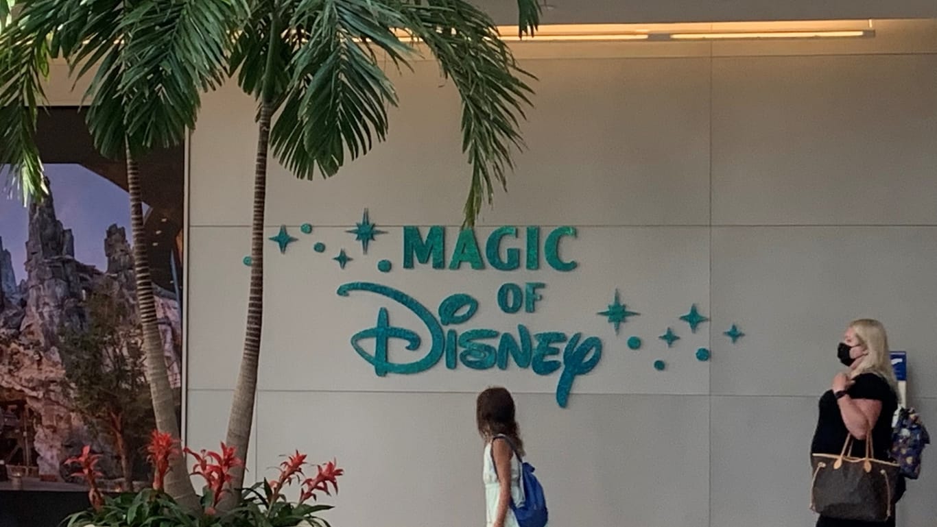 Magie mit Magnetwirkung: Disney World in Orlando