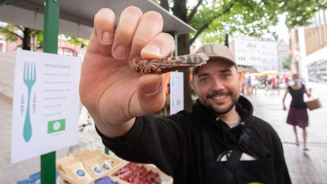 Michael Blautzik von Bugoo zeigt eine Heuschrecke auf dem Lindener Marktplatz.