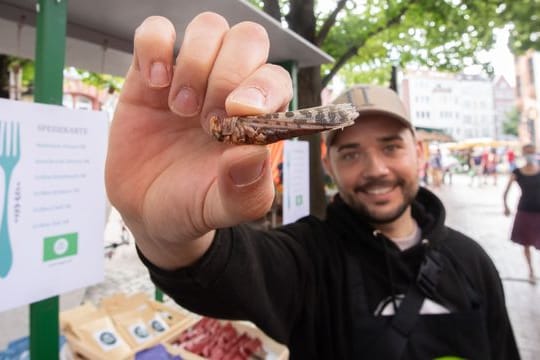 Michael Blautzik von Bugoo zeigt eine Heuschrecke auf dem Lindener Marktplatz.