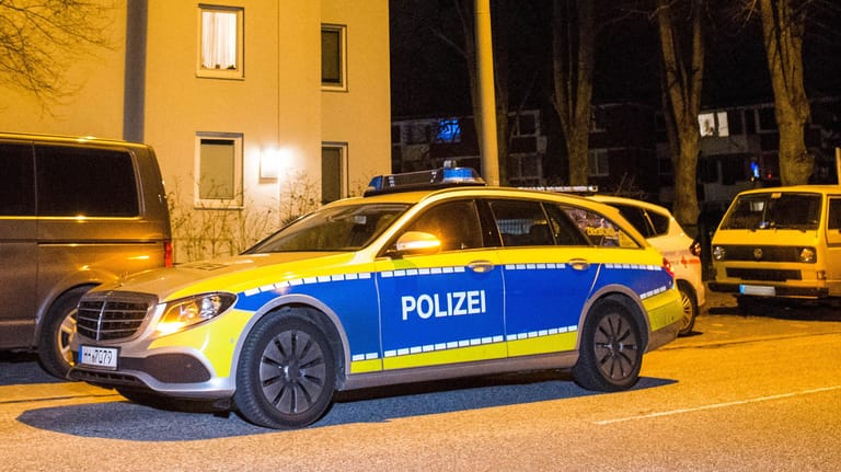 Polizeifahrzeuge stehen in Hamburg vor einem Mehrfamilienhaus: Dort soll ein 29-Jähriger seine Freundin und seine Mutter im getötet haben. Er muss für diese Taten nun in die Psychiatrie.