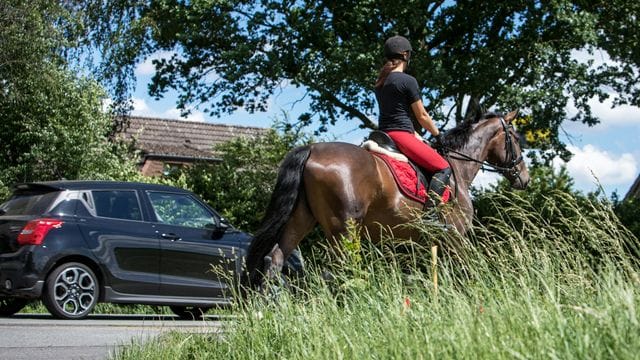 Bitte ganz vorsichtig: Mit möglichst viel Abstand und ohne Hupen geht es sicherer an Reitenden vorbei.