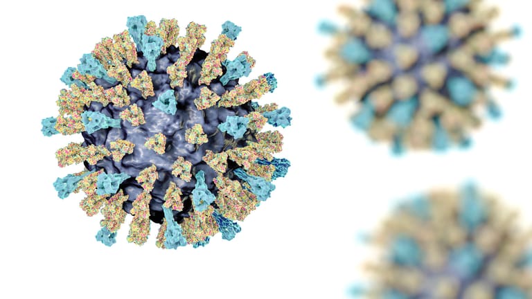https://www.gettyimages.de/detail/foto/measles-virus-illustration-lizenzfreies-bild/618610612