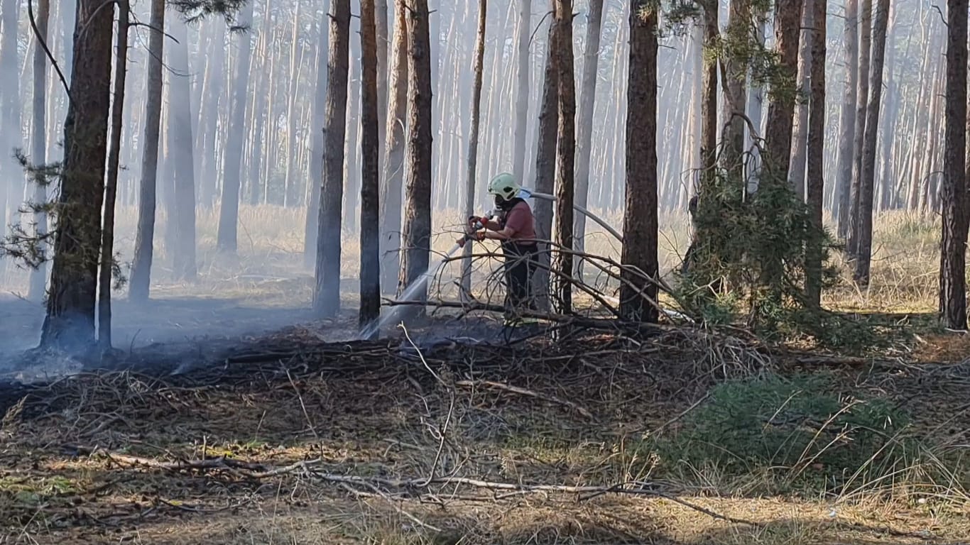 Die Feuerwehr beim Löschen: Rund 800 Quadratmeter Waldboden brannten ab.