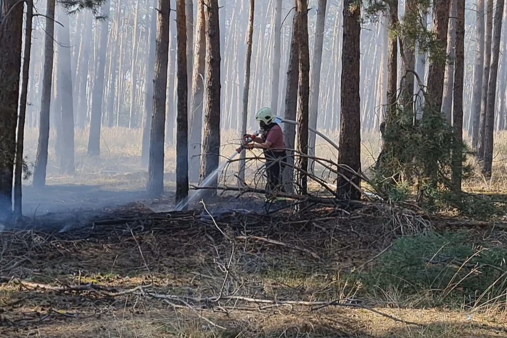 Die Feuerwehr beim Löschen: Rund 800 Quadratmeter Waldboden brannten ab.