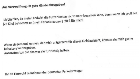 Das Begleitschreiben: Die Stadt geht davon aus, dass die Ferkel von einem Landwirt stammen.