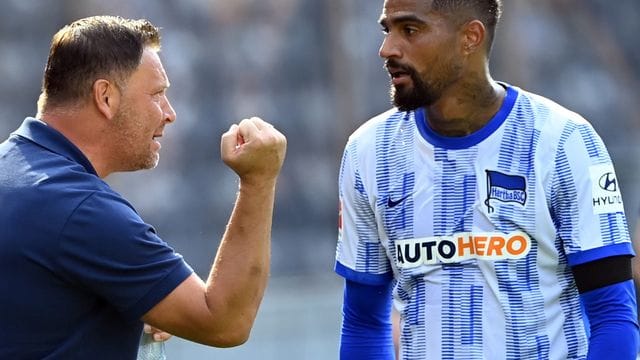 Dardai und Boateng