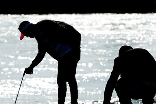 Freiwillige säubern Uferstreifen bei Aktion "Rhine Clean Up"