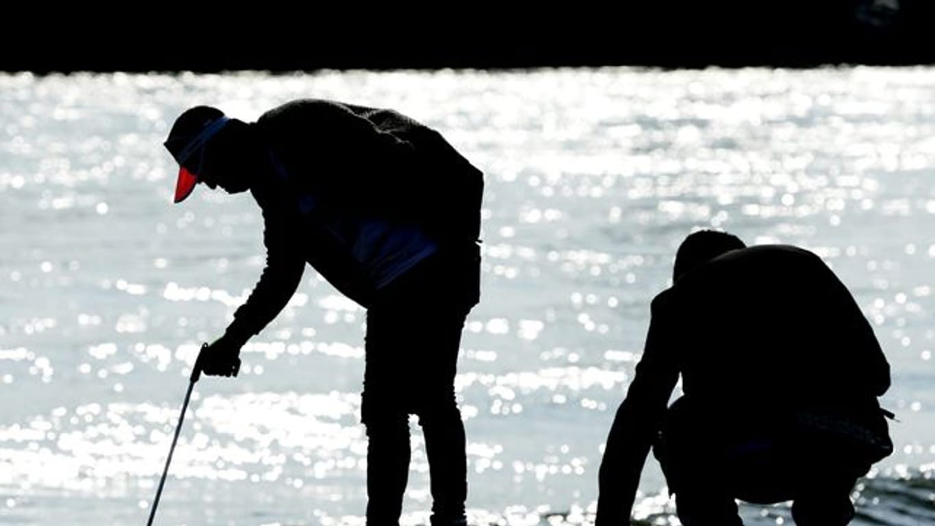 Freiwillige säubern Uferstreifen bei Aktion "Rhine Clean Up"