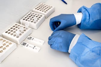 Eine Laborangestellte testet Proben auf eine Corona-Infektion (Archivbild). Noch immer wird eine vierte Welle in Deutschland befürchtet.