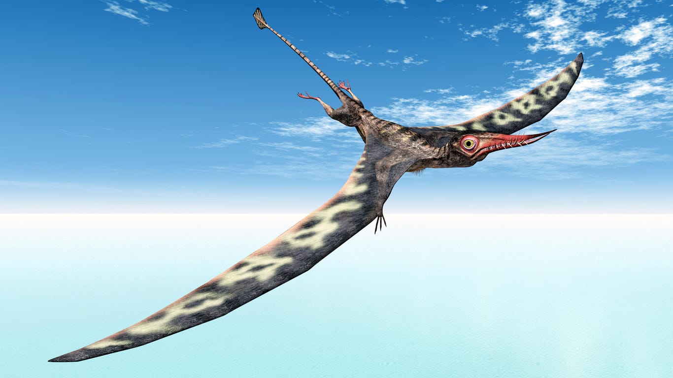 Rhamphorhynchus: Das Bild zeigt eine am Computer generierte Darstellung des Dinosauriers.