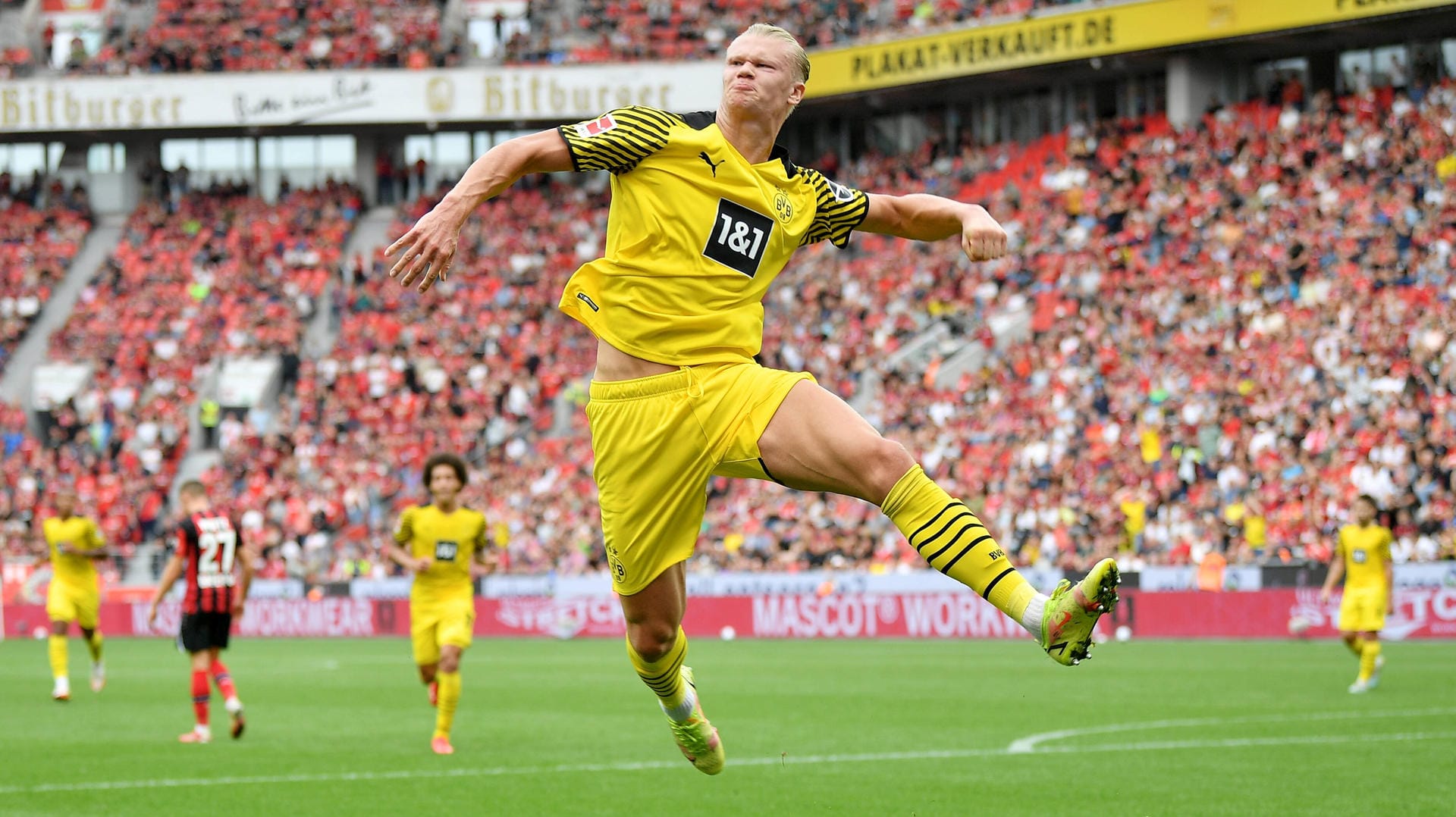 Erling Haaland: Der BVB-Stürmer machte gegen Leverkusen den Ausgleich zum 1:1.