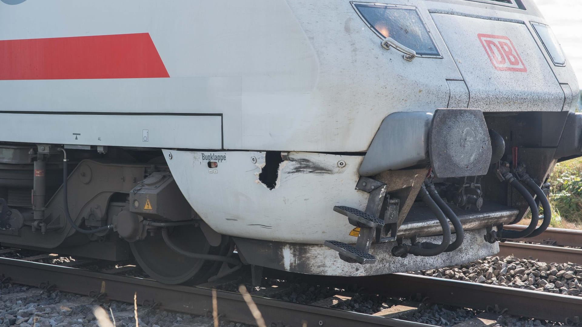 Der beschädigte IC in Wesseling: Der Zug konnte nicht mehr rechtzeitig bremsen und erfasste einen Radfahrer auf einem Bahnübergang. Der beschädigte IC in Wesseling: Der Zug konnte nicht mehr rechtzeitig bremsen und erfasste einen Radfahrer auf einem Bahnübergang.