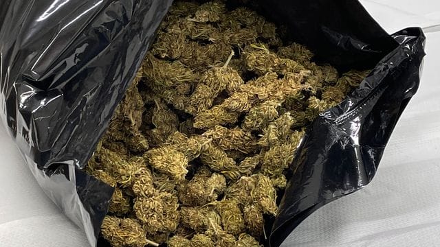 Mutmaßliches Marihuana in einem Plastiksack Mutmaßliches Marihuana in einem Plastiksack