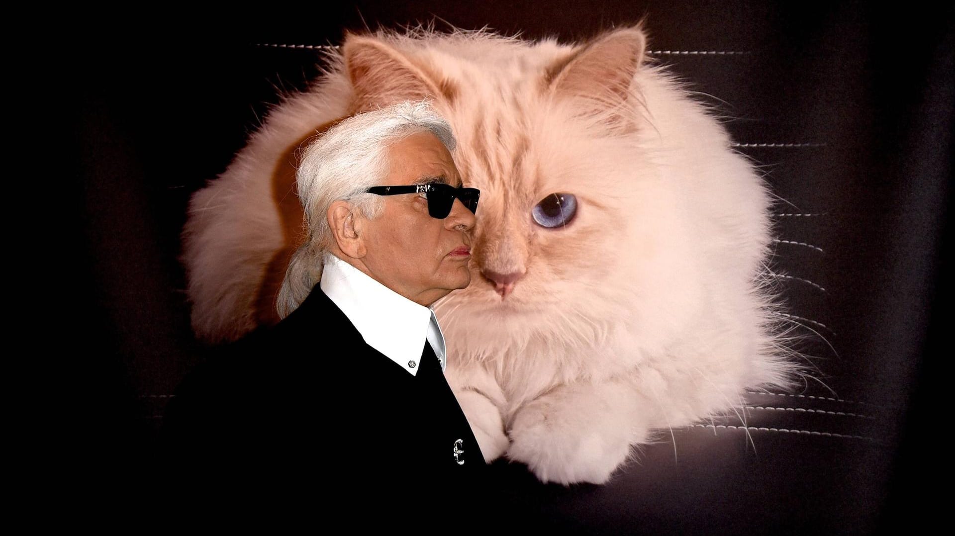 Karl Lagerfeld bei einer Vernissage in Berlin 2015 (Archivbild): Der deutsche Modedesigner ist 2019 gestorben.